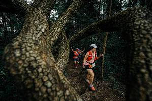 BIB: 
                            <button type="button" onclick="openModal(25700021)" class="btn btn-primary btn-sm float-right btn-popup" data-toggle="modal" data-target=".modal-high-quality">
                        <i class="fas fa-shopping-cart"></i> Add to Cart
                    </button>
                                            <button type="button" onclick="isThisMe(25700021, true)" class="btn btn-success btn-sm float-right btn-popup btn-isme hidden" data-toggle="tooltip" data-placement="bottom" title="นี่คือรูปของคุณใช่ไหม คลิกที่นี่เพื่อเอาเข้าอัลบั้ม">
                        <i class="fas fa-plus"></i> Add to album
                    </button>
                    <button type="button" onclick="isThisMe(25700021, false)" class="btn btn-warning btn-sm float-right btn-popup btn-isnotme hidden">
                        <i class="fas fa-ban"></i> Remove from album
                    </button>